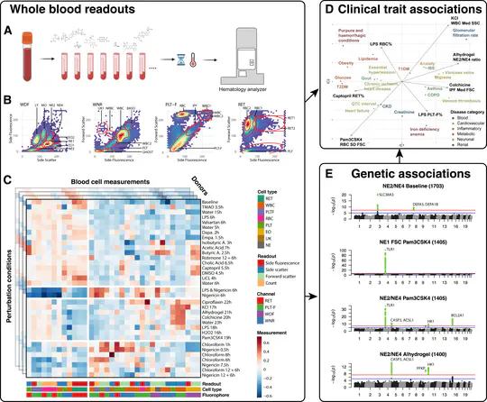 Building Cell Phenotyping Platforms for Disease Risk Prediction